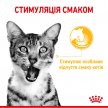 Фото - вологий корм (консерви) Royal Canin SENSORY TASTE JELLY консерви для котів вибагливих до смаку