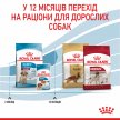 Фото 11 - сухий корм Royal Canin MEDIUM PUPPY корм для цуценят середніх порід від 2 до 12 місяців