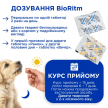 Фото 2 - вітаміни та мінерали Modes BioRitm полівітамінний комплекс для котів СМАК КУРКИ