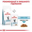 Фото - ветеринарные корма Royal Canin SKIN & COAT сухой лечебный корм для кошек