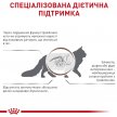 Фото 6 - ветеринарные корма Royal Canin GASTROINTESTINAL GI32 (ГАСТРО ИНТЕСТИНАЛ) сухой лечебный корм для кошек от 1 года