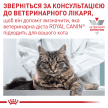 Фото 8 - ветеринарные корма Royal Canin RENAL SPECIAL сухой лечебный корм для кошек с пониженным аппетитом при почечной недостаточности