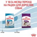 Фото - сухий корм Royal Canin GIANT JUNIOR (ЮНІОРИ ГІГАНТСЬКИХ ПОРОД) корм для цуценят від 8-24 місяців