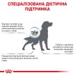 Фото - ветеринарні корми Royal Canin HYPOALLERGENIC (ГІПОАЛЕРГЕННИЙ) сухий лікувальний корм для собак