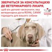 Фото - ветеринарные корма Royal Canin URINARY S/O SMALL DOG сухой лечебный корм для собак малых пород (менее 10 кг), 1,5 кг