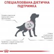 Фото 2 - ветеринарні корми Royal Canin CARDIAC сухий дієтичний корм для собак при серцевій недостатності