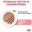 Фото 3 - влажный корм (консервы) Royal Canin KITTEN LOAF влажный корм для котят в возрасте 4-12 месяцев