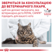 Фото 9 - ветеринарные корма Royal Canin URINARY S/O MODERATE CALORIE сухой лечебный корм для кошек