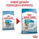 Фото - сухий корм Royal Canin MINI STARTER MOTHER & BABYDOG корм для вагітних та годуючих сук та цуценят міні-порід