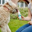 Фото 9 - для зубів та пащі Vets Best Dental Foam стоматологічна піна для догляду за зубами та ротовою порожниною собак
