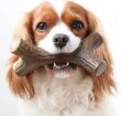 Фото 4 - игрушки Benebone Bacon Stick жевательная игрушка для собак КЛЕНОВАЯ ВЕТКА, вкус БЕКОНА