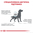 Фото 2 - ветеринарные корма Royal Canin ANALLERGENIC (АНАЛЕРДЖЕНИК) сухой лечебный корм для собак