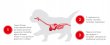 Фото 8 - вологий корм (консерви) Royal Canin STARTER MOUSSE (СТАРТЕР МУС) вологий корм для цуценят та сук при вагітності та лактації