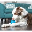 Фото 4 - іграшки PetSafe Busy Buddy Hippster іграшка для собак БЕГЕМОТ