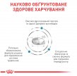 Фото 2 - ветеринарные корма Royal Canin HYPOALLERGENIC PUPPY сухой лечебный корм для щенков