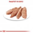 Фото 2 - вологий корм (консерви) Royal Canin INSTINCTIVE in Loaf - консерви для котів