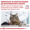 Фото - ветеринарные корма Royal Canin DIABETIC лечебные консервы для кошек с сахарным диабетом