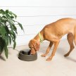 Фото 3 - миски, напувалки, фонтани PetSafe Drinkwell Current автоматична поїлка-фонтан для собак і котів