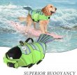 Фото 3 - рятувальні жилети Fovis Derby Fish Design рятувальний жилет для собак, зелений