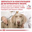 Фото - ветеринарні корми Royal Canin DIABETIC лікувальний вологий корм для собак при цукровому діабеті