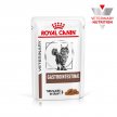 Фото - ветеринарные корма Royal Canin GASTRO INTESTINAL лечебные консервы для кошек при нарушениях пищеварения