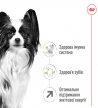 Фото 5 - сухий корм Royal Canin X-SMALL ADULT 8+ (СОБАКИ ДРІБНИХ ПОРІД ЕДАЛТ 8+) корм для собак від 8 років