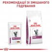 Фото 6 - ветеринарні корми Royal Canin RENAL CHICKEN лікувальні консерви для кішок з нирковою недостатністю