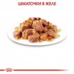 Фото 5 - вологий корм (консерви) Royal Canin STERILISED JELLY консервований корм для стерилізованих кішок