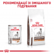 Фото 2 - ветеринарні корми Royal Canin GASTROINTESTINAL LOW FAT лікувальний вологий корм для собак при порушеннях травлення
