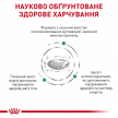 Фото 3 - ветеринарні корми Royal Canin DIABETIC DS46 (ДІАБЕТИК) сухий лікувальний корм для котів від 1 року