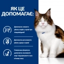 Фото - ветеринарные корма Hill's Prescription Diet Feline w/d Multi-Benefit корм для кошек КУРИЦА