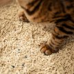 Фото 6 - наполнители Velvet Paw Tofu+Bentonite Original гороховый наполнитель с бентонитом для кошек БЕЗ АРОМАТА