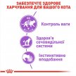 Фото - влажный корм (консервы) Royal Canin STERILISED in GRAVY консервированный корм для стерилизованных кошек