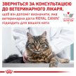 Фото - ветеринарні корми Royal Canin CALM сухий лікувальний корм для котів