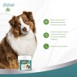 Фото 6 - от копрофагии 8in1 (8в1) EXCEL DETER (ЕКСЕЛЬ ДЕТЕР ОТ КОПРОФАГИИ) пищевая добавка для собак