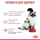 Фото - сухий корм Royal Canin Mother & Babycat (БЕБІКЕТ) сухий корм для кошенят 1-4 місяці, вагітних та лактуючих