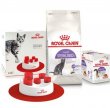 Фото - сухий корм Royal Canin STERILISED 37 (СТЕРИЛІЗЕД) корм для кішок від 1 до 7 років