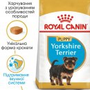 Фото - сухий корм Royal Canin YORKSHIRE TERRIER PUPPY (ЙОРКШИР ТЕР'ЄР ПАППІ) корм для цуценята до 10 місяців