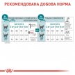 Фото 5 - сухий корм Royal Canin Ageing 11+ сухий корм для котів старше 11 років