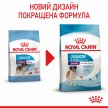 Фото 2 - сухой корм Royal Canin GIANT JUNIOR (ЮНИОРЫ ГИГАНТСКИХ ПОРОД) корм для щенков от 8-24 месяцев