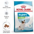 Фото - сухий корм Royal Canin X-SMALL PUPPY (ЦУЦЕНЯТА ДРІБНИХ ПОРОД) корм для цуценят до 10 місяців