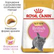 Фото 10 - сухой корм Royal Canin Kitten BRITISH SHORTHAIR (БРИТАНСКАЯ КОРОТКОШЕРСТНАЯ КИТТЕН) корм для котят до 12 месяцев