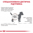 Фото 2 - ветеринарные корма Royal Canin GASTROINTESTINAL LOW FAT SMALL DOG лечебный корм для собак мелких пород при нарушениях пищеварения