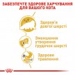 Фото 8 - сухий корм Royal Canin PERSIAN (ПЕРСІАН) корм для котів від 1 року