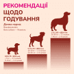 Фото 6 - лакомства LK Baits Pet Nutrigo Gold Turmeric функциональное лакомство для собак КУРКУМА