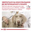 Фото - ветеринарные корма Royal Canin ANALLERGENIC SMALL DOG сухой лечебный корм для собак мелких пород