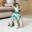 Фото 4 - попоны, воротники, ботинки Fovis VPETER Dinosaur послеоперационная попона для собак