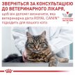 Фото 8 - ветеринарные корма Royal Canin RENAL FISH лечебные консервы для кошек c почечной недостаточностью