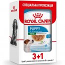 Фото - влажный корм (консервы) Royal Canin MINI PUPPY влажный корм для щенков мелких пород от 2 до 10 месяцев