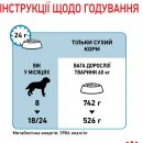 Фото - сухий корм Royal Canin GIANT JUNIOR (ЮНІОРИ ГІГАНТСЬКИХ ПОРОД) корм для цуценят від 8-24 місяців